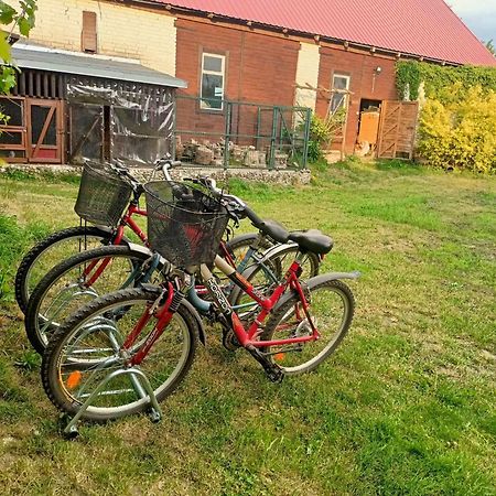 Malinowy Gaj - Agroturystyka Z Alpakami I Innymi Zwierzetami Swietajno  Exteriér fotografie