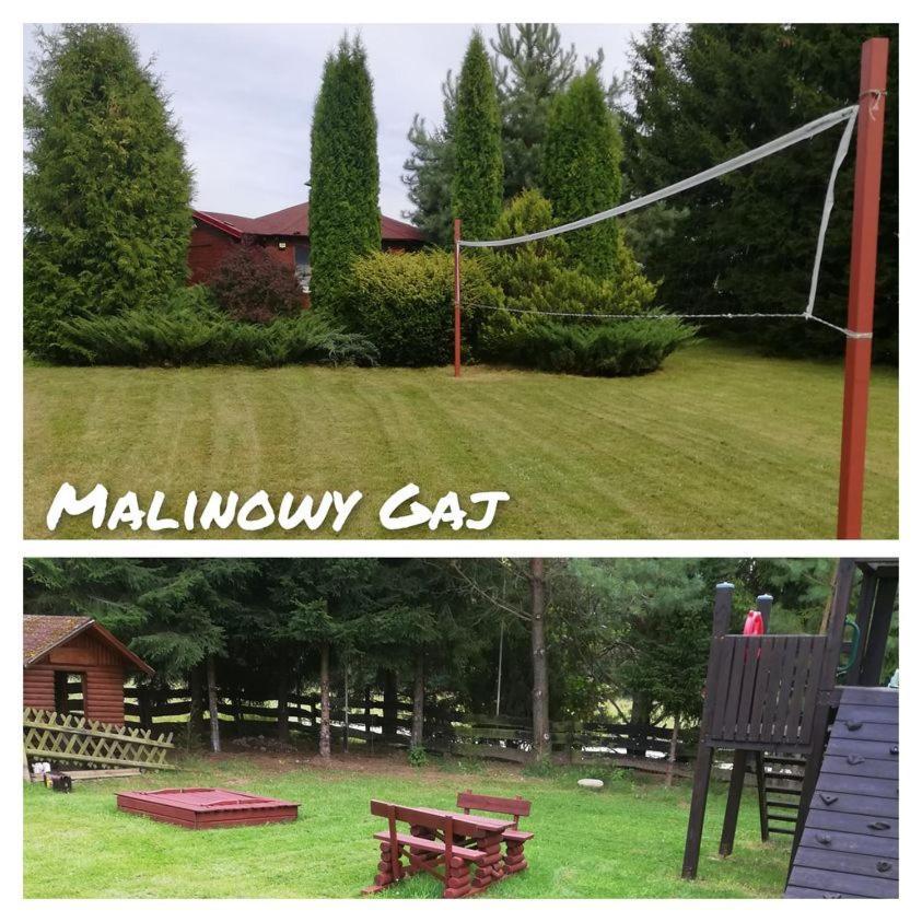 Malinowy Gaj - Agroturystyka Z Alpakami I Innymi Zwierzetami Swietajno  Exteriér fotografie