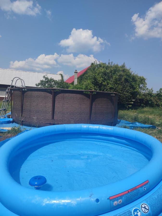 Malinowy Gaj - Agroturystyka Z Alpakami I Innymi Zwierzetami Swietajno  Exteriér fotografie