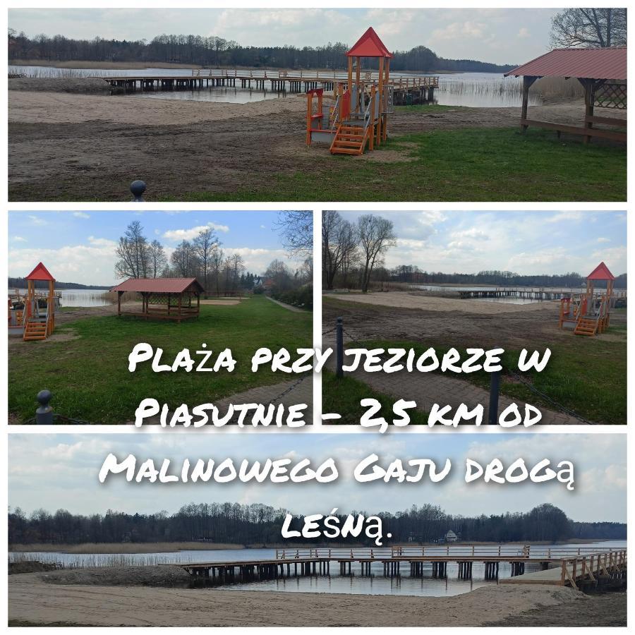 Malinowy Gaj - Agroturystyka Z Alpakami I Innymi Zwierzetami Swietajno  Exteriér fotografie