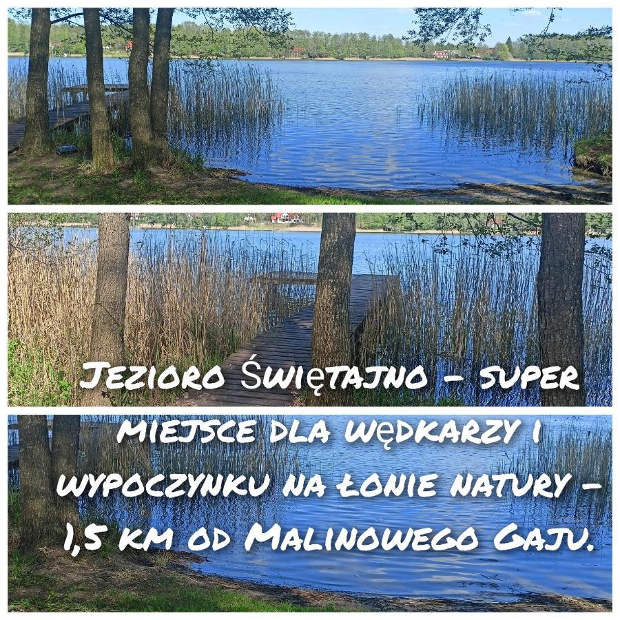 Malinowy Gaj - Agroturystyka Z Alpakami I Innymi Zwierzetami Swietajno  Exteriér fotografie