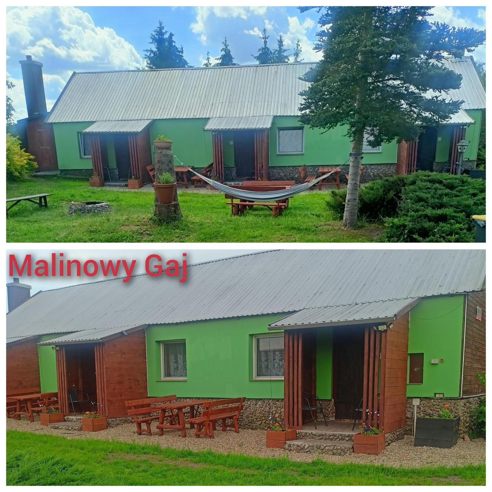 Malinowy Gaj - Agroturystyka Z Alpakami I Innymi Zwierzetami Swietajno  Exteriér fotografie