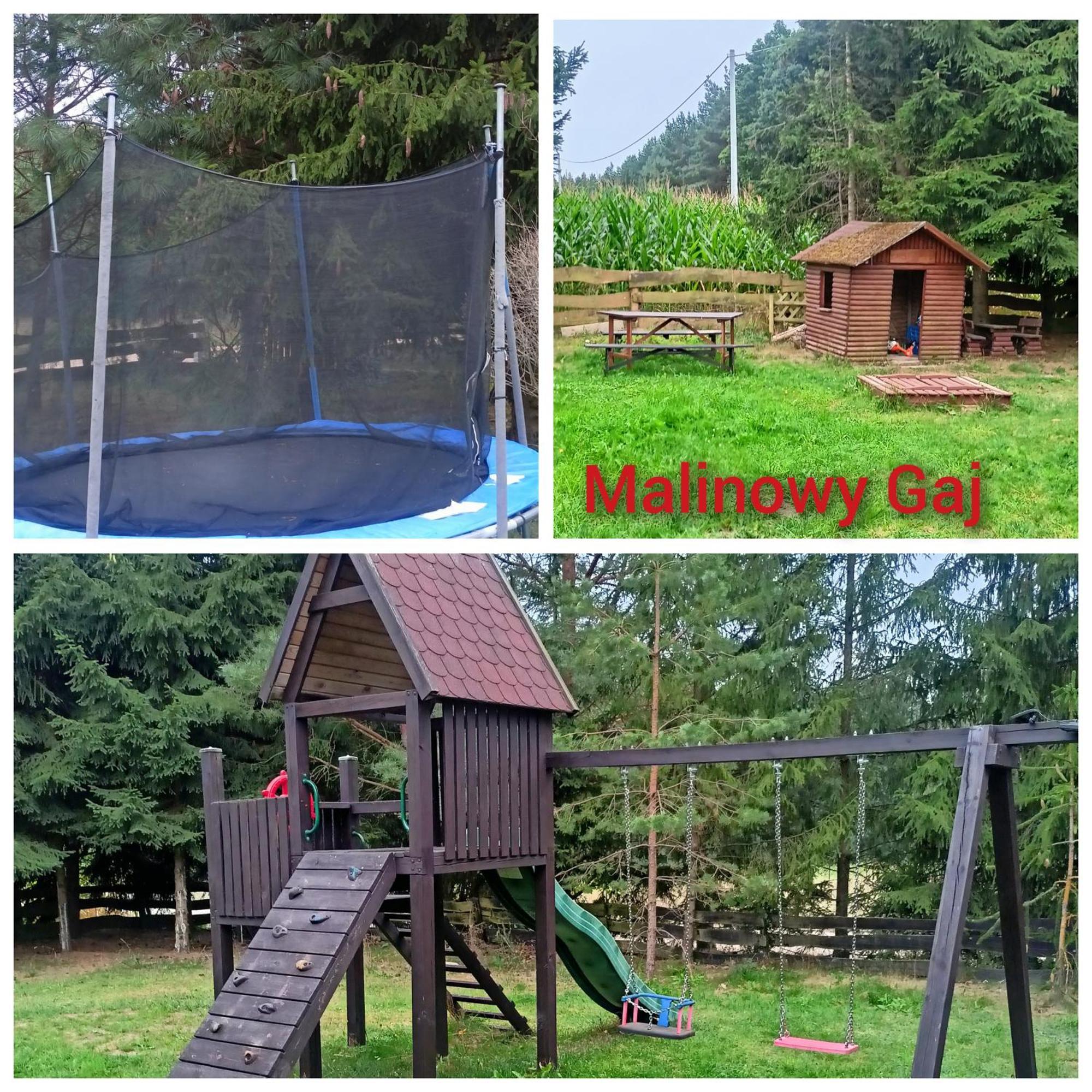 Malinowy Gaj - Agroturystyka Z Alpakami I Innymi Zwierzetami Swietajno  Exteriér fotografie