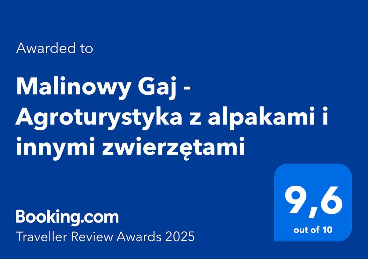 Malinowy Gaj - Agroturystyka Z Alpakami I Innymi Zwierzetami Swietajno  Exteriér fotografie