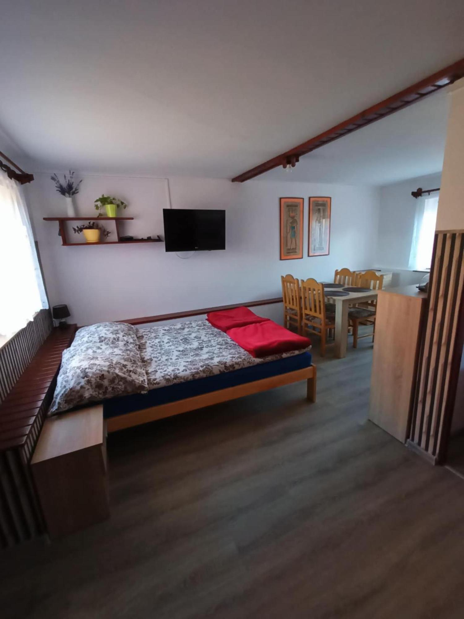 Malinowy Gaj - Agroturystyka Z Alpakami I Innymi Zwierzetami Swietajno  Exteriér fotografie